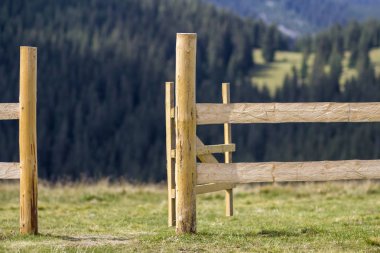 Yakın çekim düşük kaba tarafından parlak yaz güneş çimenli Vadisi Karpat Dağları üzerinde sık çam ormanı bulanık arka plan ile kaplı ahşap çit yaktı. Turizm, ekoloji ve doğa kavramının güzellik.