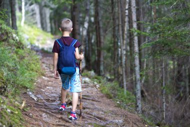 Arkadan görünüşü uzun yürüyüşe çıkan kimse sırt çantası ve sopa yalnız aracılığıyla parlak güneş dağ sık çam ormanı tarafından sıcak yaz gününde yaktı seyahat bir genç çocuk çocuk. Turizm ve etkin çocukluk yaşam tarzı kavramı.
