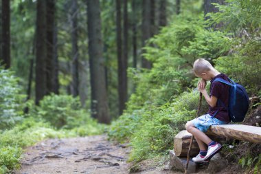 Genç şirin çocuk çocuk sırt çantası ile Stick yorgun yaslanmış dağ yolu çam ormanı tarafından parlak yaz güneş kaba ağaç gövde ahşap Bank tarafından yaktı dayanmaktadır. Turizm ve aktif yaşam tarzı kavramı.