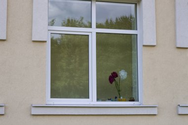 Dış, ışık görünümünden parlak yapay beyaz ve koyu kırmızı kağıt çiçek buketi ve cam yeşil ağaçların yansıması ile pembe sıvalı anaokulu ya da okul duvar ve büyük temiz pencere.