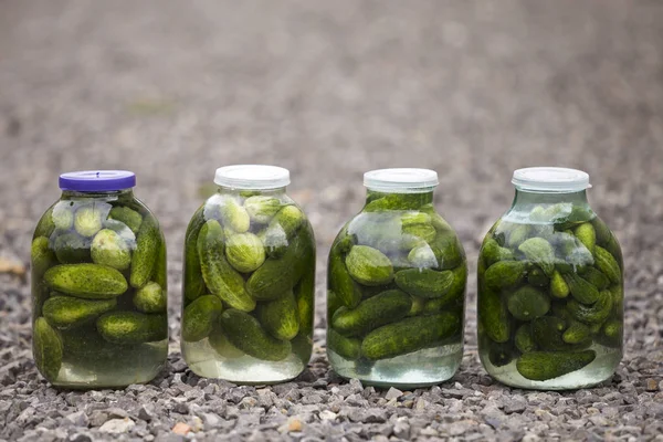 Close Four Big Glass Jars Green Fresh Pickles Cucumbers Salted — Stock Photo, Image