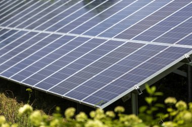 Yakın çekim yüzey modern verimli kaydetme stand - güneş tarafından yaktı yalnız mavi parlak güneş Fotoğraf volta sistem üreten yenilenebilir temiz enerji yeşil çim ve ağaçların yeşillik zemin üzerine paneller.