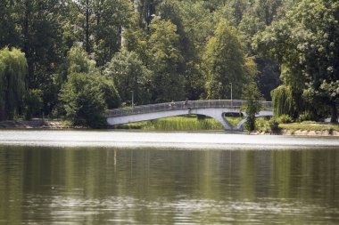 Park genel rekreasyon yer parlak yaz gününde. Sakin göl yüzeyi ve sahte korkuluk su arka plan üzerinde eğilerek huş ağacı ve söğüt ağaçları ile küçük kemerli yürüyen köprü üzerinde bisiklet üzerinde kişi.