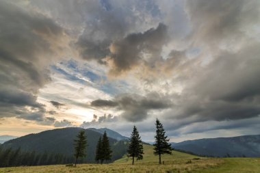 Panoramik yaz görünümü uzak odunsu dağ zinciri altında koyu mavi bulutlu gökyüzü günbatımı veya gündoğumu, yeşil çimenli Vadisi izole çam ağaçlarının. Kavram seyahat turizm, doğanın güzelliği.