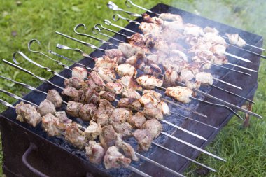 Barbekü parlak yaz günü açık. Close-up lezzetli sulu et şiş kebap kömür yanan yeşil çim zemin üzerine kavurma şiş üzerinde parçaları Marine. Kamping, tatil, lezzetli yemek.