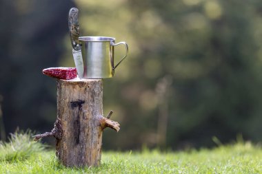 Katlanabilir çakı yakın çekim kompozisyonu dikey sosis ve Teneke Kupa bulanık koyu yeşil orman arka plan üzerine açık havada ağaç kütüğü içinde sıkışmış. Turizm, seyahat, Aperatif, aktif yaşam tarzı kavramı.