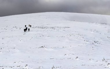 Kar Karpat dağ tepeler ile uzun bir süre yürüyüş yapan turistlerin kışın kaplı