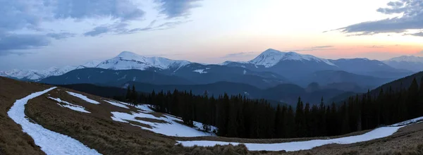 美丽的春天早晨在大山的全景 山谷与干燥的草和雪 透明的新鲜空气 茂密的常绿森林和柔和的太阳焕发在遥远的积雪覆盖的山脉 — 图库照片