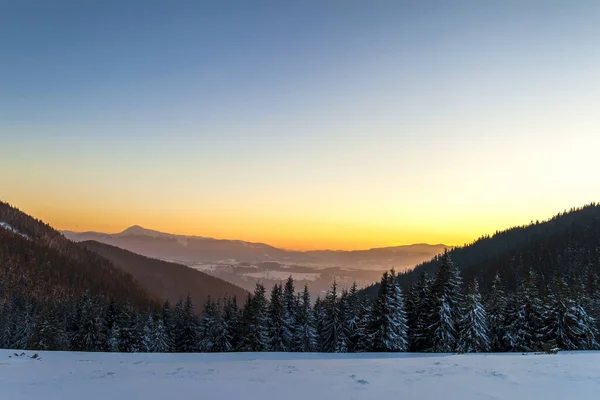 Pôr Sol Macio Neve Inverno Coberto Montanhas Dos Cárpatos — Fotografia de Stock