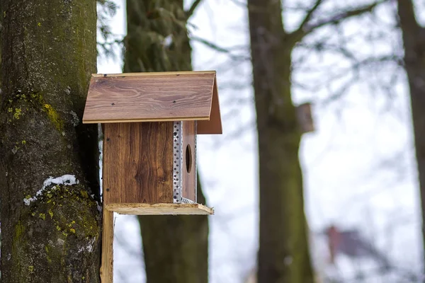 A wooden house for birds on the tree in the forest. Place to feed and to find food in winter time for birds. Bird feeder in park.