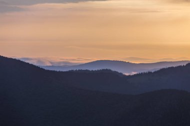 Geniş panorama, fantastik görünümünü parlak açık turuncu gökyüzü kopya alan arka plan üzerinde gün batımında sabah sis yeşil Karpat Dağları ile kaplı. Güzellik, Doğa, turizm ve seyahat kavramı.