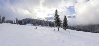 Güzel kış dağ manzarası. Uzun boylu çam ağaçları kar ve Frost'un üzerinde parlak mavi gökyüzü beyaz bulutlar ve uzak dağ kopya alan arka plan ile kaplı. Mutlu yeni yıl ve mutlu Noeller.