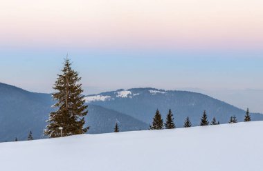 Çam ağaçları ve beyaz tepeler ile dağlarda kış karlı manzara
