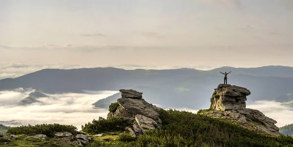 Small silhouette of tourist with raised arms on rocky formation on mountain valley filled with white puffy clouds and fog and covered with evergreen forest mountain slopes under clear sky background.