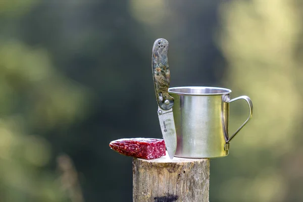 Composição Close Faca Bolso Dobrável Preso Verticalmente Toco Árvore Salsicha — Fotografia de Stock