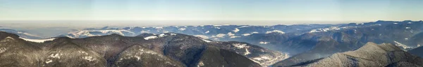 Hermoso Panorama Invernal Con Nieve Fresca Paisaje Con Pinos Picea —  Fotos de Stock