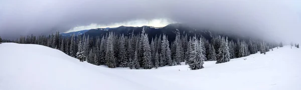 雪と冬の山の風景が松の木と低い雲に覆われて — ストック写真
