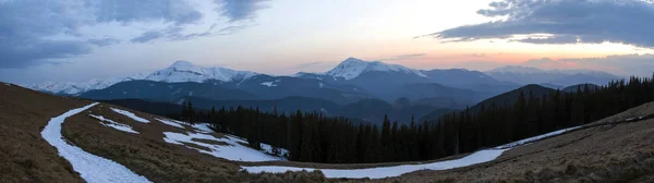 Panorama Bela Manhã Primavera Nas Montanhas Dos Cárpatos Vale Com — Fotografia de Stock