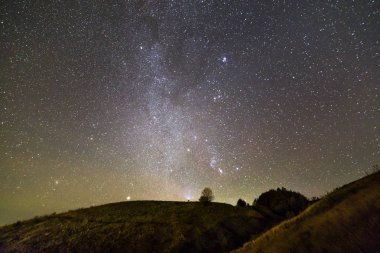 Koyu yeşil çimenli hills, yalnız ağaç ve çalıların gece güzel koyu mavi yaz yıldızlı gökyüzü altında. Gece fotoğraf, doğa kavramının güzellik. Geniş panorama, kopya alan arka plan.