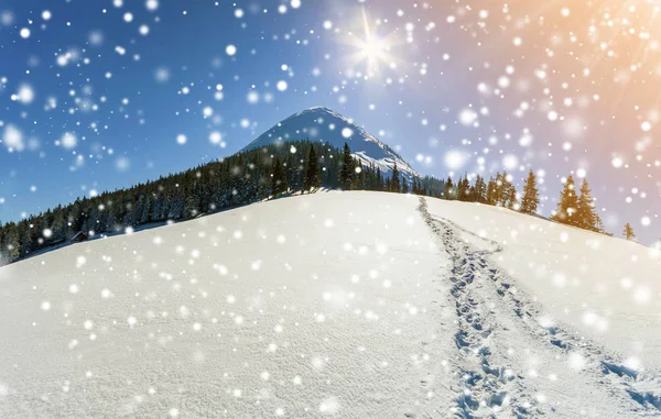 Prachtige Winterlandschap Bergen Met Sneeuw Pad Steppe Gelukkig Nieuwjaar Viering — Stockfoto