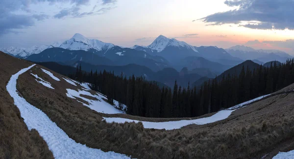 美丽的春天早晨在大山的全景 山谷与干燥的草和雪 透明的新鲜空气 茂密的常绿森林和柔和的太阳焕发在遥远的积雪覆盖的山脉 — 图库照片