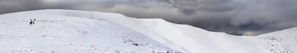 Neige Couverte Collines Des Carpates Avec Des Randonneurs Lointains Touristes — Photo