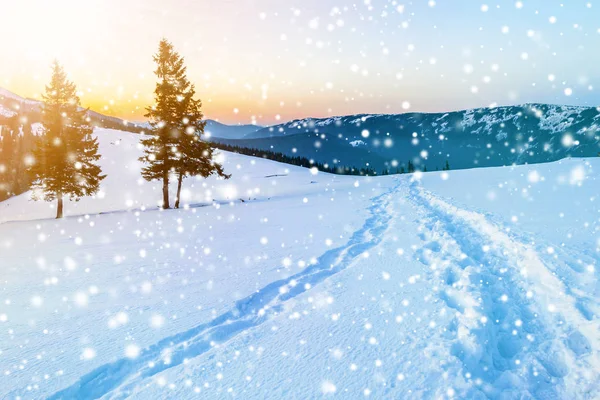 Piękny Zimowy Krajobraz Górach Ścieżka Śnieg Stepie — Zdjęcie stockowe