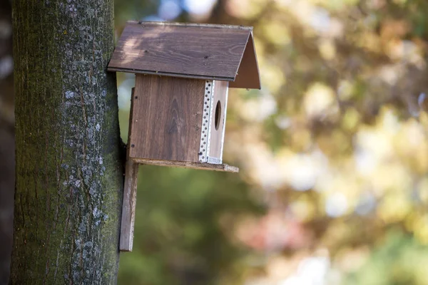 Wooden Brown New Bird House Nesting Box Attached Tree Trunk — стоковое фото