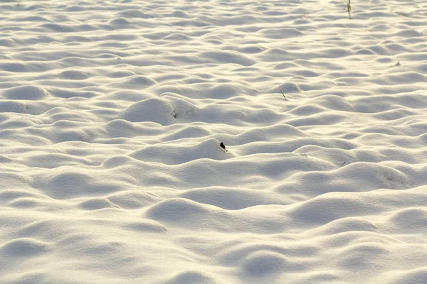 空のフィールドのクリアで鮮やか不均一な深い雪の中 晴れた冬の凍るような寒い日に田園風景の白い表面は 光沢のあるきれいな季節背景 壁紙のテーマ — ストック写真