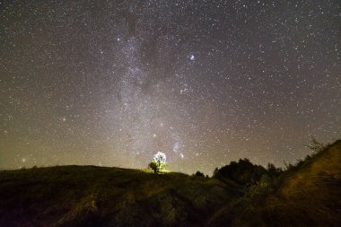 Koyu yeşil çimenli hills, yalnız ağaç ve çalıların gece güzel koyu mavi yaz yıldızlı gökyüzü altında. Gece fotoğraf, doğa kavramının güzellik. Geniş panorama, kopya alan arka plan.