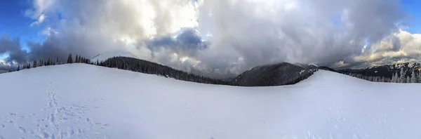 Paysage Montagne Hivernal Avec Pins Enneigés Nuages Bas — Photo