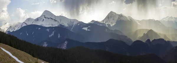 Adembenemend Panoramisch Uitzicht Prachtig Mistige Karpaten Bedekt Met Ooit Groene — Stockfoto