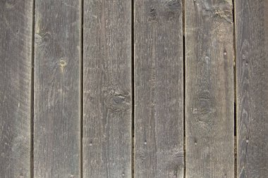 Doğal eski vintage Close-up gri kahverengi boyanmamış katı ahşap çit veya plakalar ve panoları kapısı yıpranmış. Ekolojik doku dikey kopya alanı güneşli arka plan crackled.