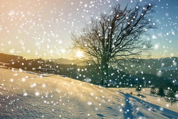 Winter Kerst Landschap Bij Dageraad Menselijke Voetafdruk Track Pad Kristal — Stockfoto