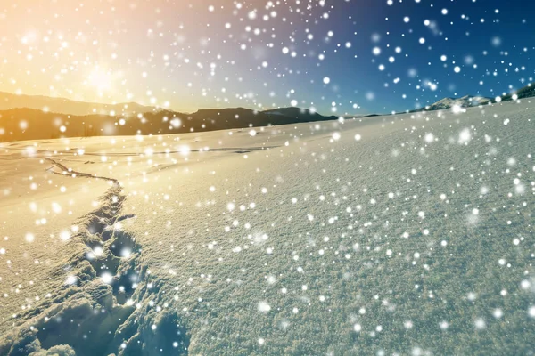 Winter Christmas landscape at dawn. Human footprint track path in crystal white deep snow through empty field, woody dark mountain range, large snowflakes on clear blue sky copy space background.