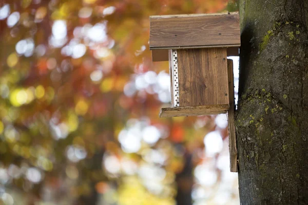 Drewniane Brązowy Nowy Dom Ptak Lub Gniazdowania Pole Dołączone Pnia — Zdjęcie stockowe
