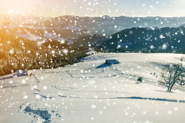 Winter Christmas landscape at dawn. Human footprint track path in crystal white deep snow through empty field, woody dark mountain range, large snowflakes on clear blue sky copy space background.