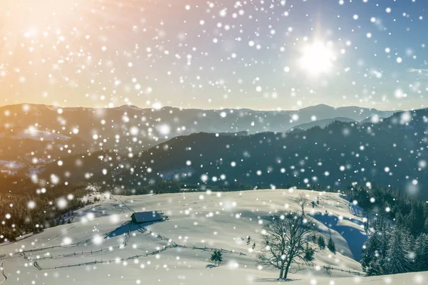 Winter Kerstlandschap Bij Dageraad Menselijke Voetafdruk Spoor Pad Kristalwit Diepe — Stockfoto