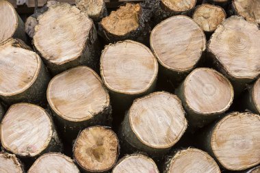 Düzgün bir şekilde doğranmış mayo yığını açık havada Kazıklı parlak güneşli bir günde, arka plan, yangın ahşap günlükleri kış, yazmak için hazır hazır. Çevre koruma kavramı.