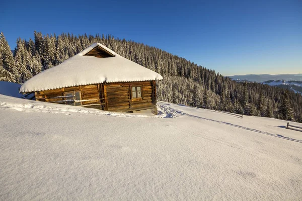 Human footprint path in white deep snow leading to small old wooden forsaken shepherd hut in mountain valley, spruce forest, woody dark hills, bright sun on clear blue sky copy space background.