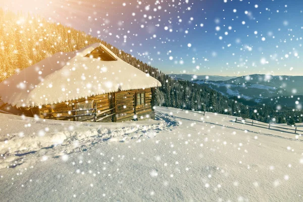 Winter Christmas landscape. Human footprint path in white deep snow at small wooden shepherd hut, spruce forest, woody dark mountain range, large snowflakes on clear blue sky copy space background.