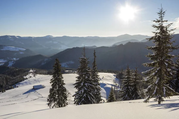 Zimní Vánoční Krajina Údolí Mrazivého Slunečného Dne Pokryté Mrazem Vysoké — Stock fotografie