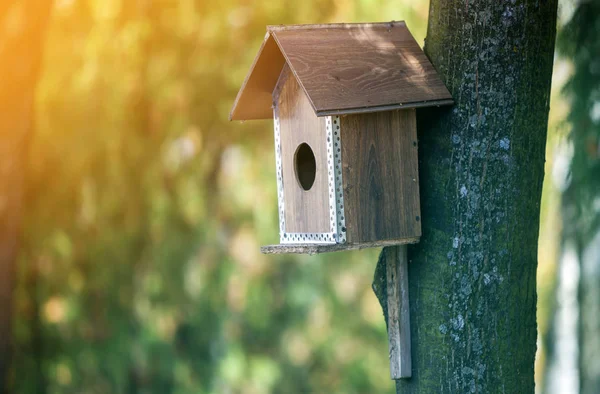 木棕色新鸟房子或筑巢箱附有树干在夏天公园或森林在模糊的阳光明媚的绿色叶子 Bokeh 野生动物保护 自己做概念 — 图库照片
