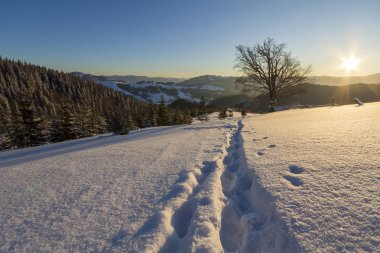 Güzel kış Noel manzara. İnsan ayak izi iz yolu kristal beyaz derin kar boş alan, çam ağaçları orman, tepeler ve dağlar açık mavi gökyüzü kopya alan arka plan üzerinde ufukta.