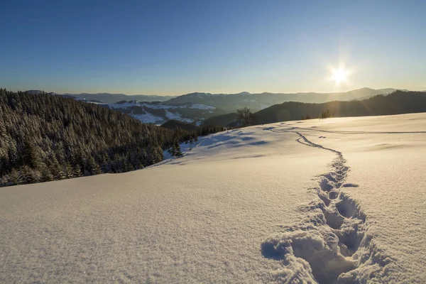 Winter Christmas landscape. Human footprint track path in crystal white deep snow through empty field, woody dark mountain range, soft glow on horizon on clear blue sky copy space background.