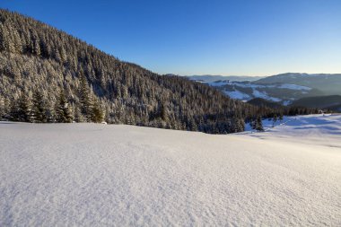Dağ vadinin soğuk güneşli kış Noel manzara. Uzun köknar ağaçlarının frost derin karda kaplı, odunsu karanlık dağ sırtı, yumuşak kızdırma ufukta, mavi gökyüzü kopya alan arka plan.