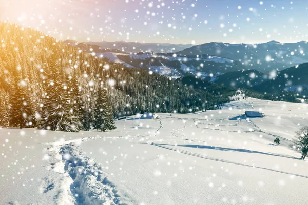 Winter Christmas landscape at dawn. Human footprint track path in crystal white deep snow through empty field, woody dark mountain range, large snowflakes on clear blue sky copy space background.
