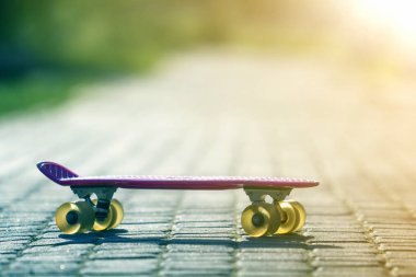 Yakın çekim çocuk plastik pembe parlak beyaz ve yeşil bulanık bokeh arka plan üzerinde izole kaldırım kaykay. Spor, eğlence, eğlenceli ve çalış kavramı.