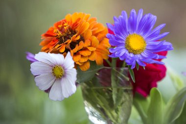 Güzel sonbahar parlak renkli alan Close-up kompozisyon bulanık güneşli bokeh kopya alan arka plan açık havada üzerinde şeffaf cam vazoda çiçekler. Kartpostal tema, güzellik ve fantezi kavramı.