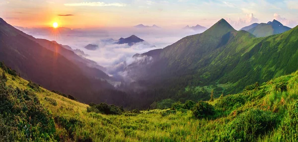 Schöner Sonnenaufgang Den Bergen Mit Weißem Nebel Unter Dem Panorama — Stockfoto